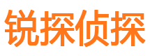 兴海市调查公司